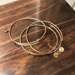 3 Pack Alex and Ani filler bracelets- no charms